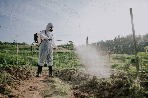 Best Mosquito Control Services  in Corpus Christi, TX