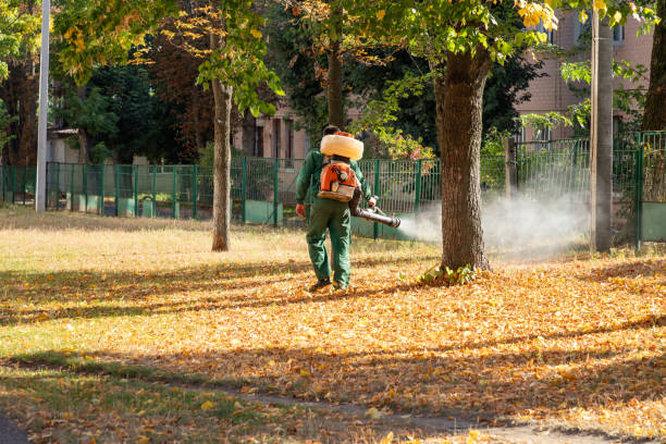 Best Best Pest Control Companies  in Corpus Christi, TX