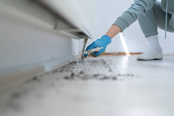 Best Best Pest Control Companies  in Corpus Christi, TX
